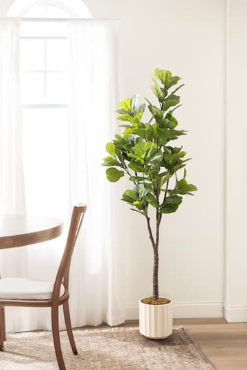 Kate and Laurel 6ft. Fidmont Faux Fiddle Fig Tree with White Planter